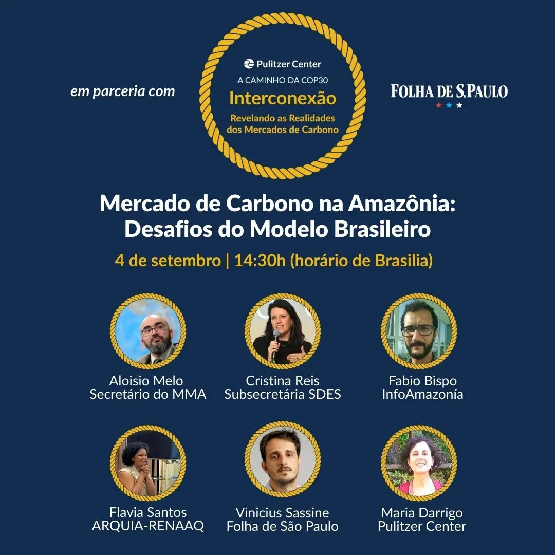 Mercado de Carbono na Amazônia: Desafios do Modelo Brasileiro